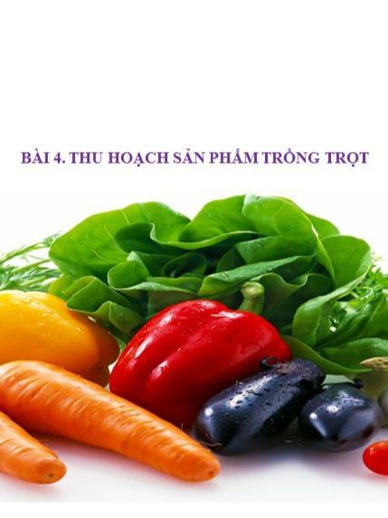 Ảnh bìa tài liệu
