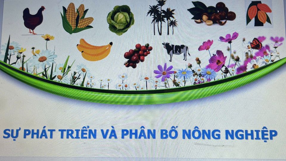 Ảnh bìa tài liệu